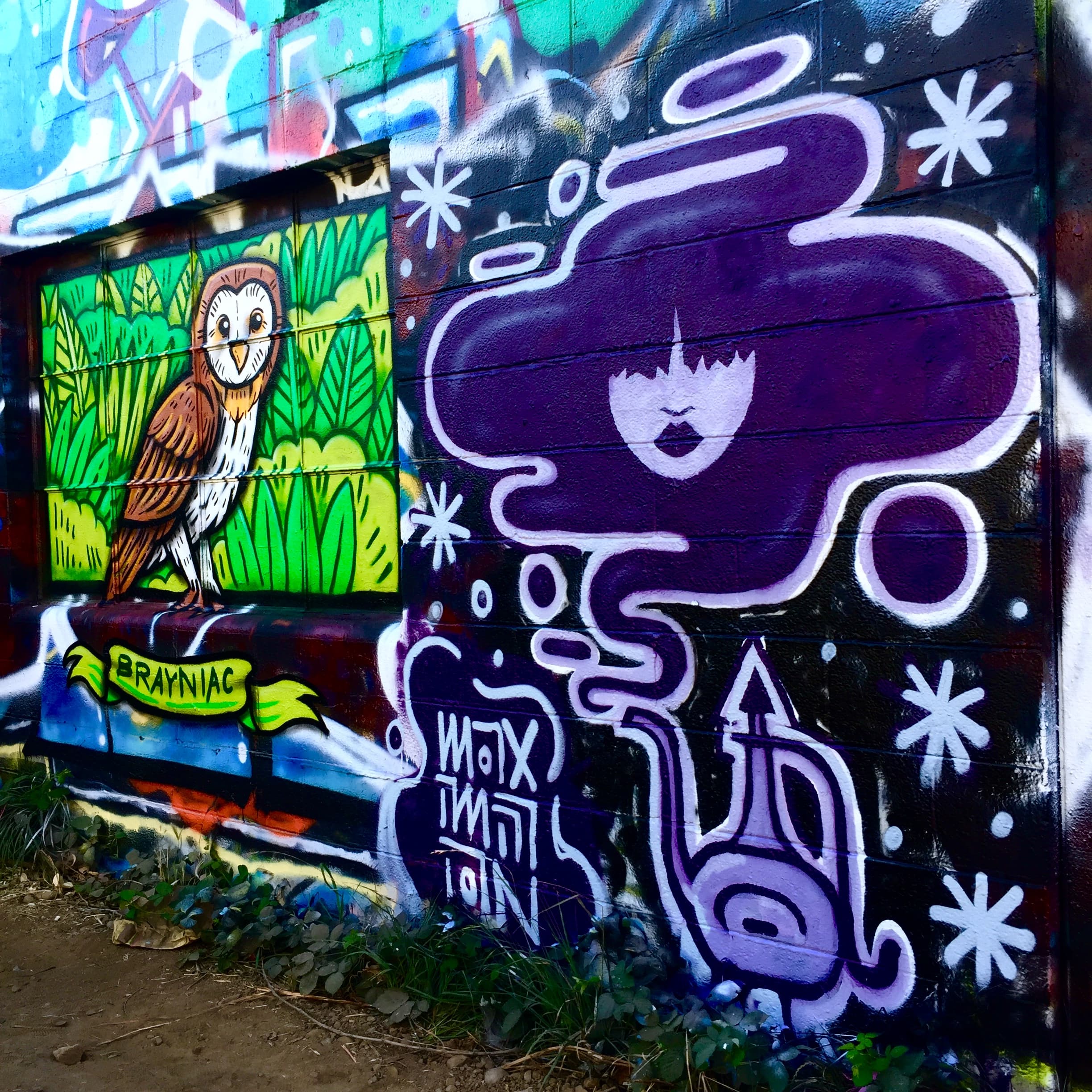 street art painting by Maximillian Piras