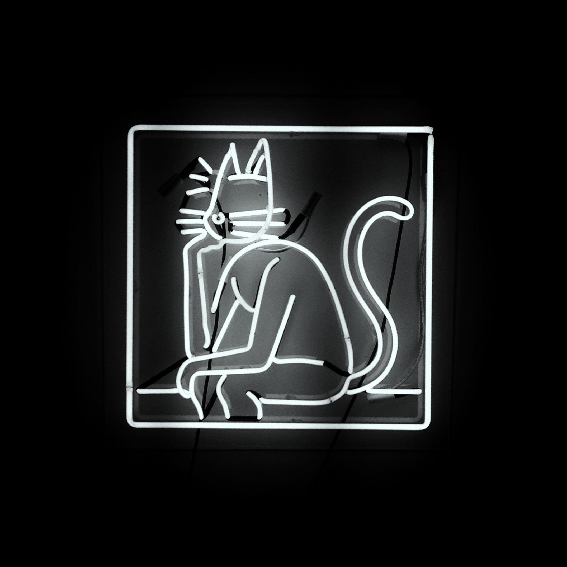 Lost Cat™ neon sign branding identity design by Maximillian Piras
